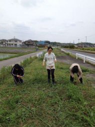 国道沿いの道の種まき