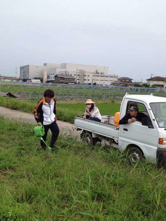 ひまわりに水をあげたり