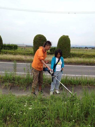 草を刈ったりしました。