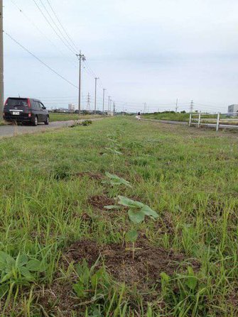 とても気持ち良さそう