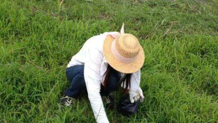 ひまわりの植え替えをしたり