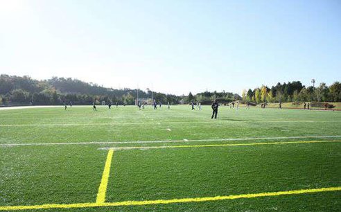 サッカー場
