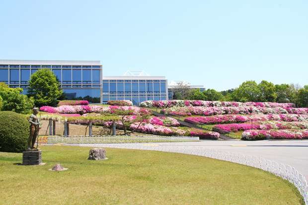 名古屋商科大学