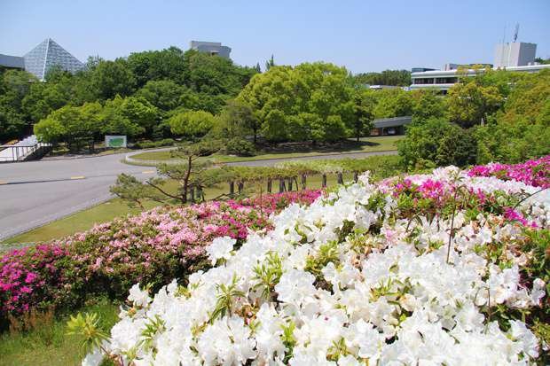 名古屋商科大学
