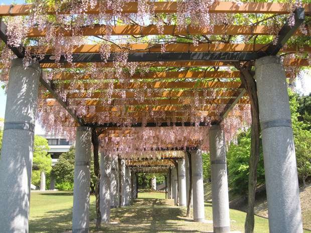 名古屋商科大学