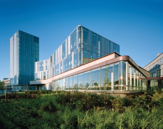 Shulich School of Business, York University