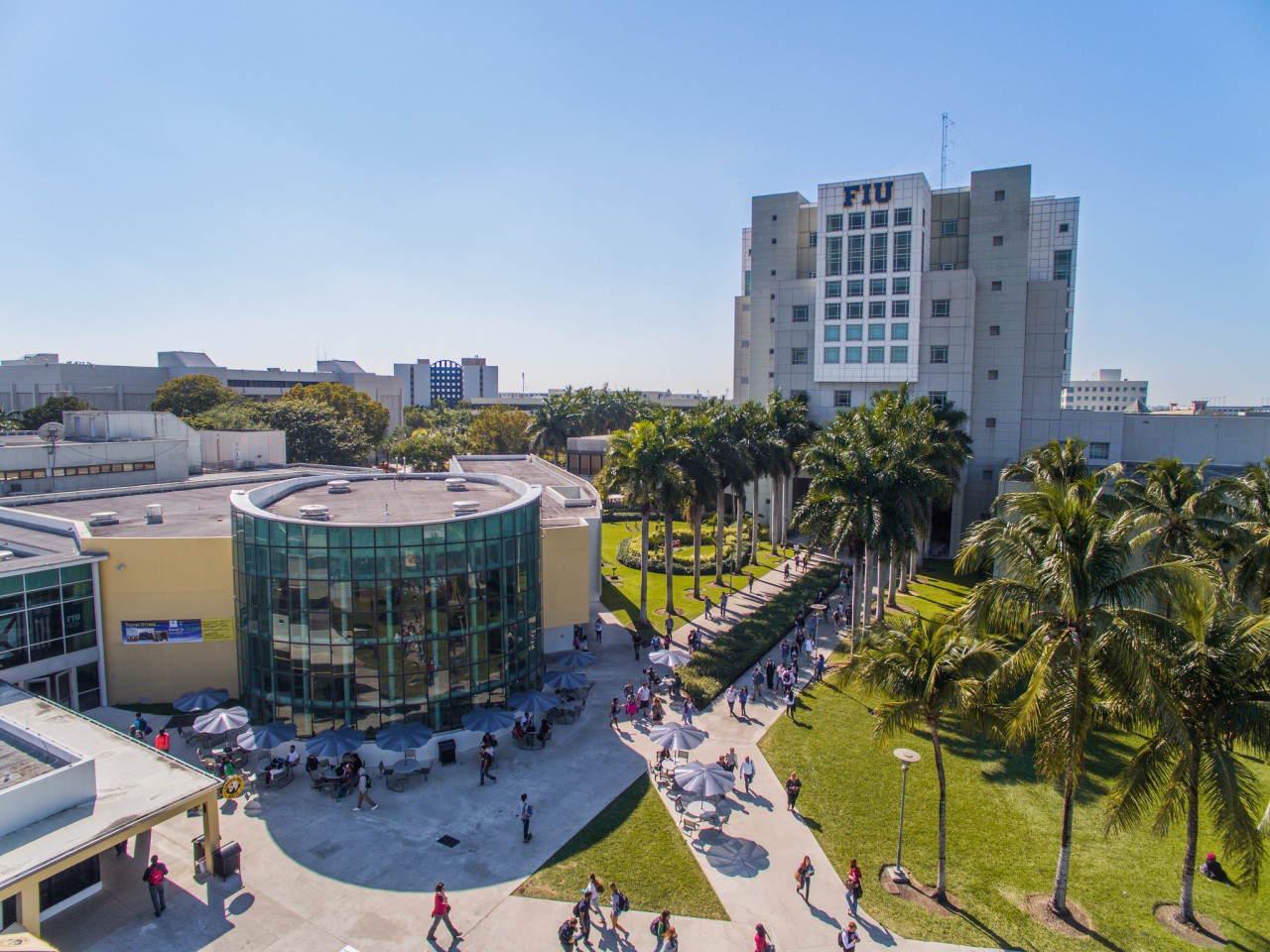 florida international university phd clinical psychology