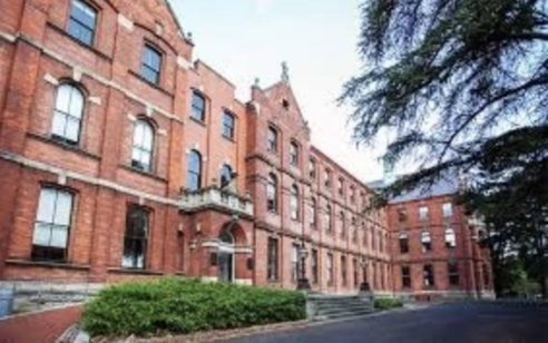 UCD College of Business