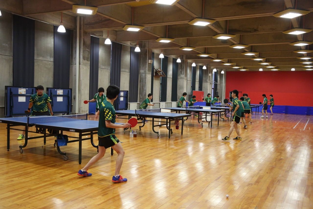 Table Tennis Club Sports Associations