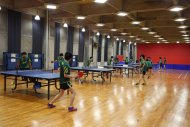 Table tennis section 2