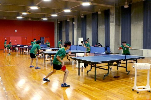 卓球部2