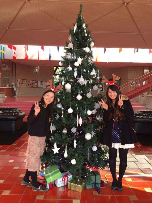 語学センターにクリスマスツリー