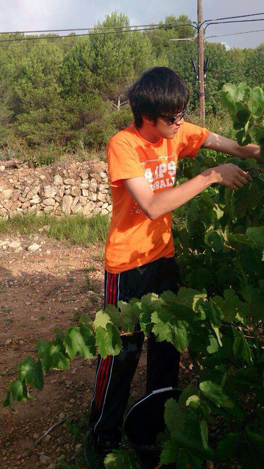 国際ボランティア留学 | スペイン