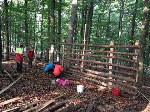 国際ボランティア留学 | ドイツ