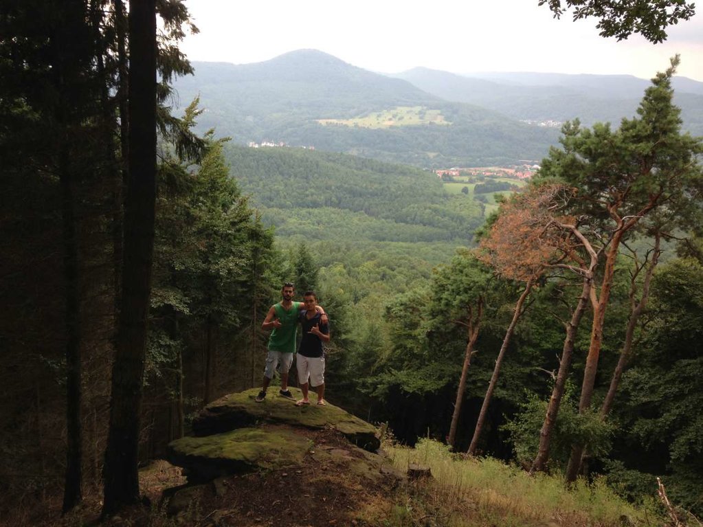 ドイツでの国際ボランティア留学5