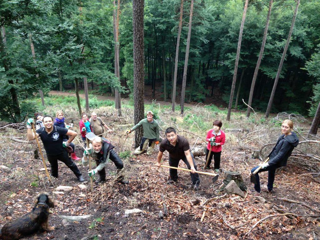 ドイツでの国際ボランティア留学4