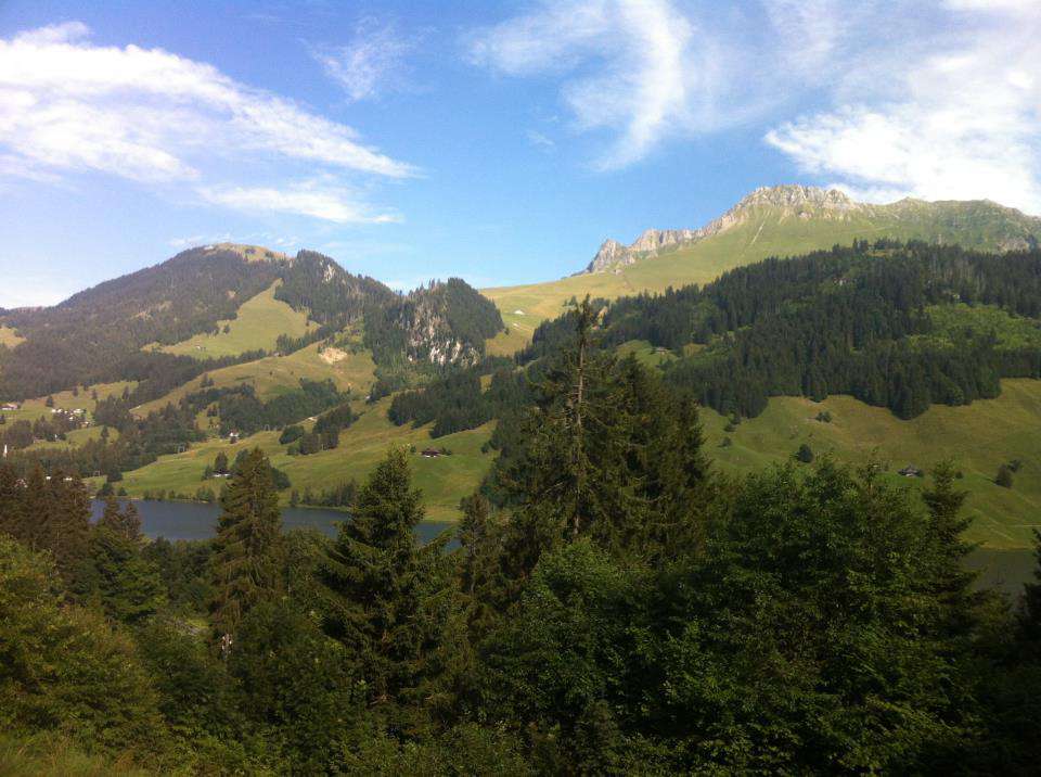 国際ボランティア留学 | スイス