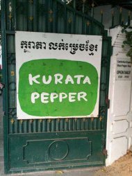 海外インターンシップ | カンボジア