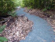 国際ボランティア留学 | アメリカ