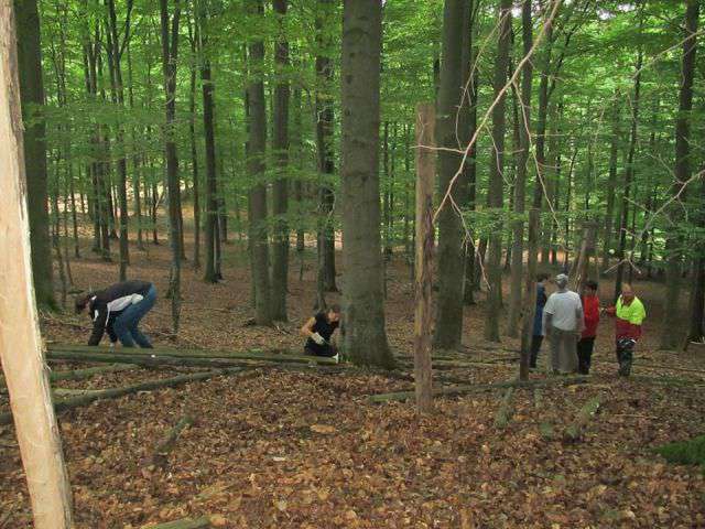 海外ボランティア留学 | ドイツ