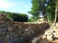 国際ボランティア留学 | フランス