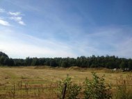 国際ボランティア留学 | エストニア