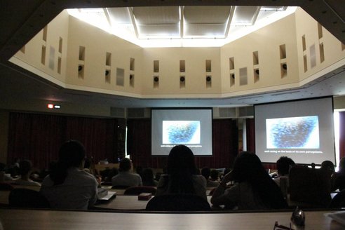 ワイルドフォックス映画祭2015