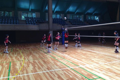 女子バレーボール部