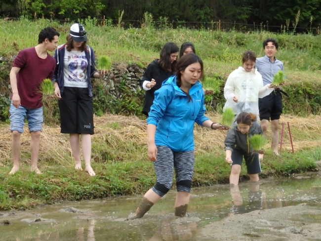 留学生,田植え体験,グローバル