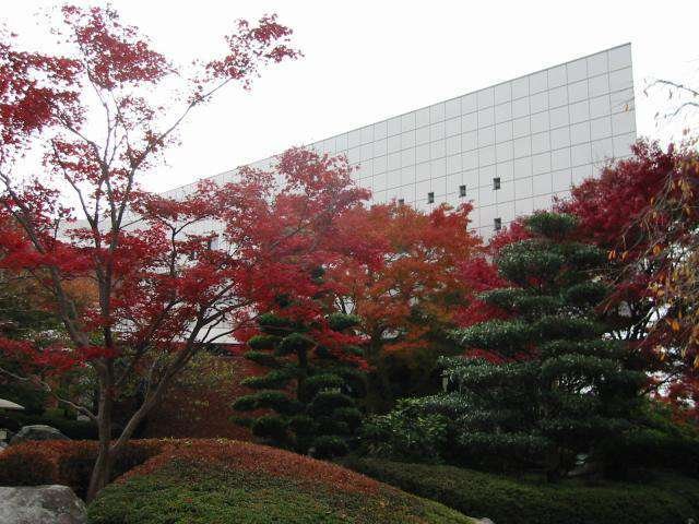 学生食堂付近の日本庭園にて