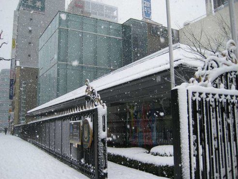 雪の中の伏見キャンパス