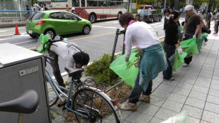 車道に捨てられているゴミを拾う様子