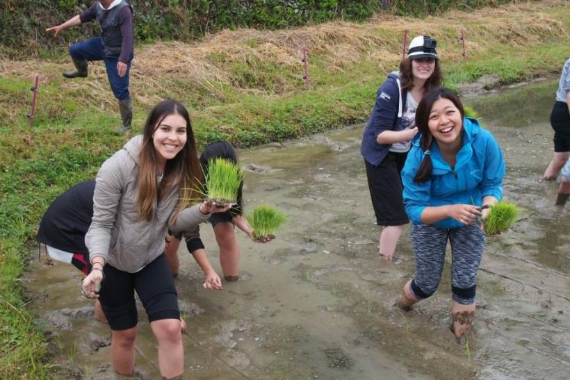 NUCB undergraduate and graduate exchange students enjoyed a “rice planting” experience in Ena city in Gifu prefecture, one of the most beautiful agricultural sites in Japan.