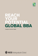 Global BBA Brochure 2024