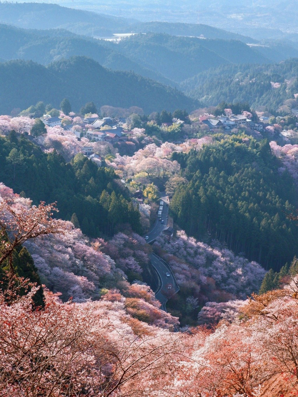 Nara