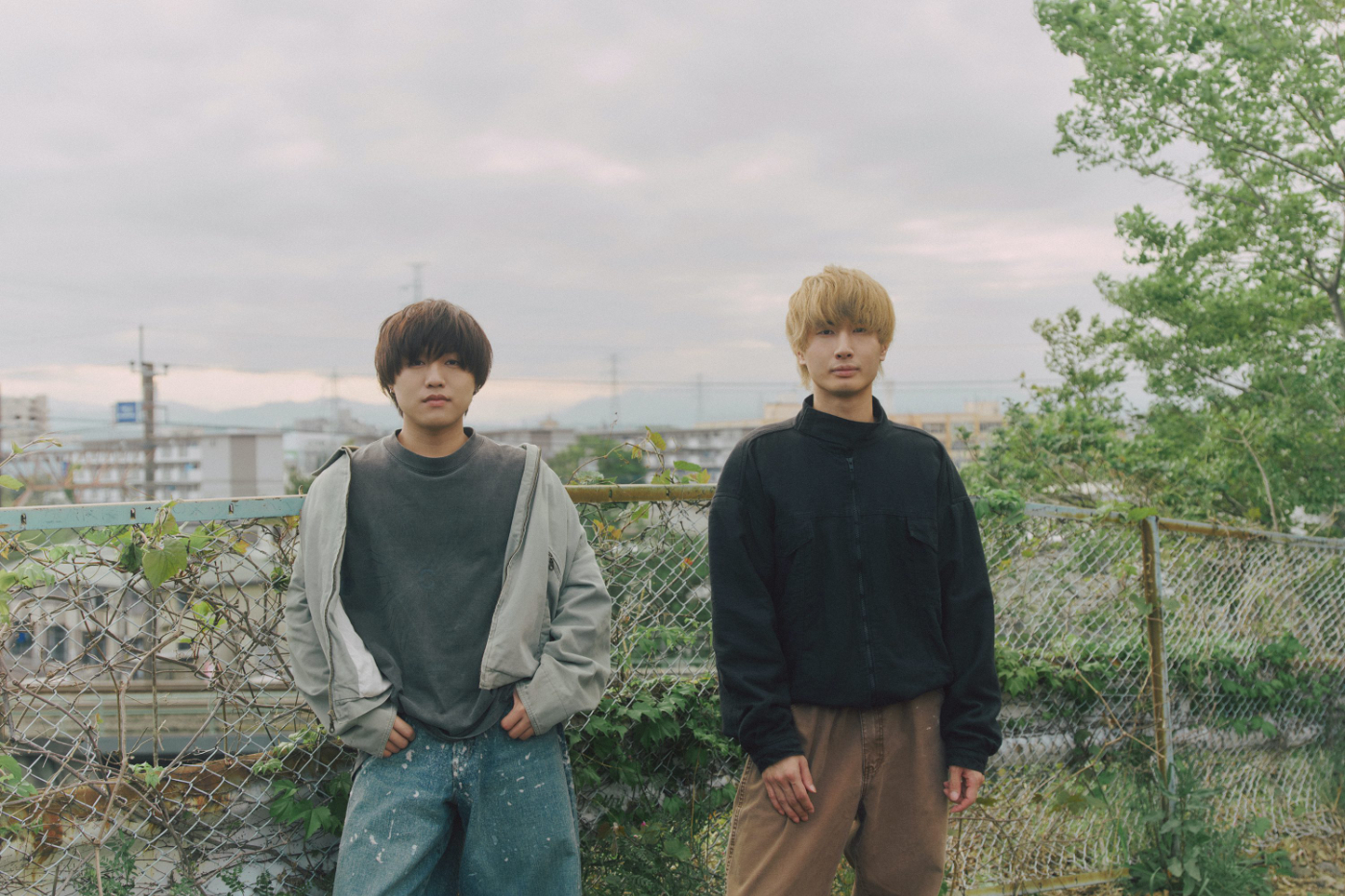 【極上最高級株】感謝祭！発根済み！魔丸大株！2株子株付き！極上株！ 第73回 三ヶ峯祭 LIVE「This is LAST（ディス イズ ラスト）」の出演が