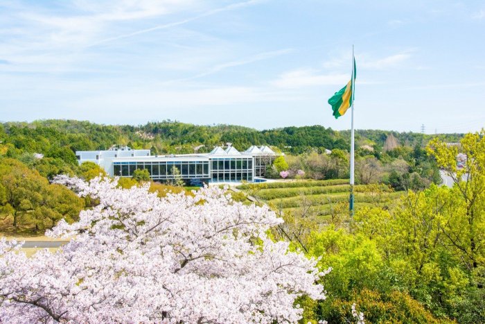 University | NUCB Undergraduate School - AACSB International Accredited